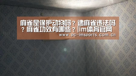 麻雀是保护动物吗?逮麻雀违法吗?麻雀功效有哪些?|im体育官网(图1) im体育下载