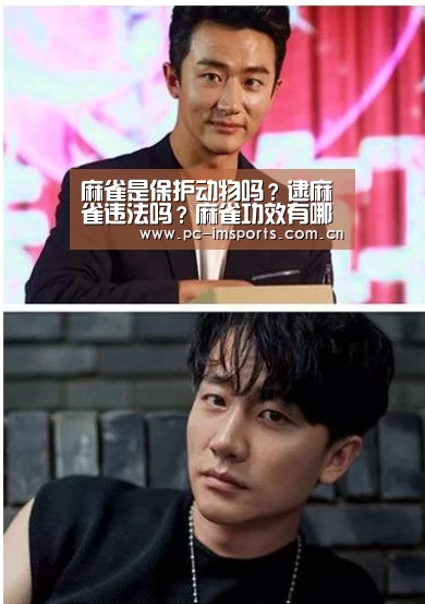 麻雀是保护动物吗?逮麻雀违法吗?麻雀功效有哪些?|im体育官网(图3) im体育官网
