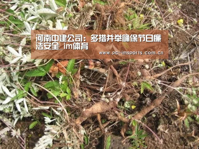 河南中建公司:多措并举确保节日廉洁安全_im体育(图1) im体育app