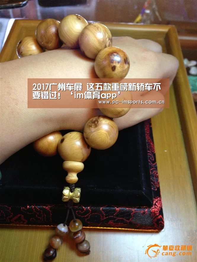 2017广州车展 这五款重磅新轿车不要错过!‘im体育app’(图4) im体育下载