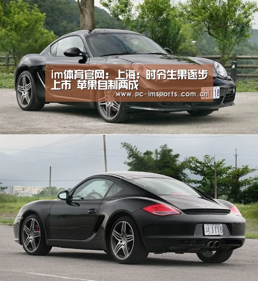 im体育下载