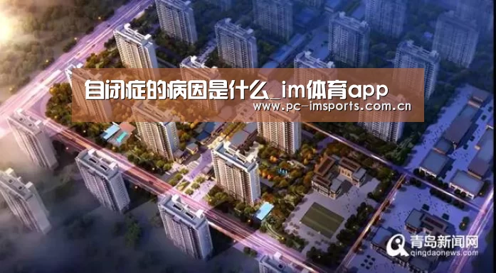 im体育