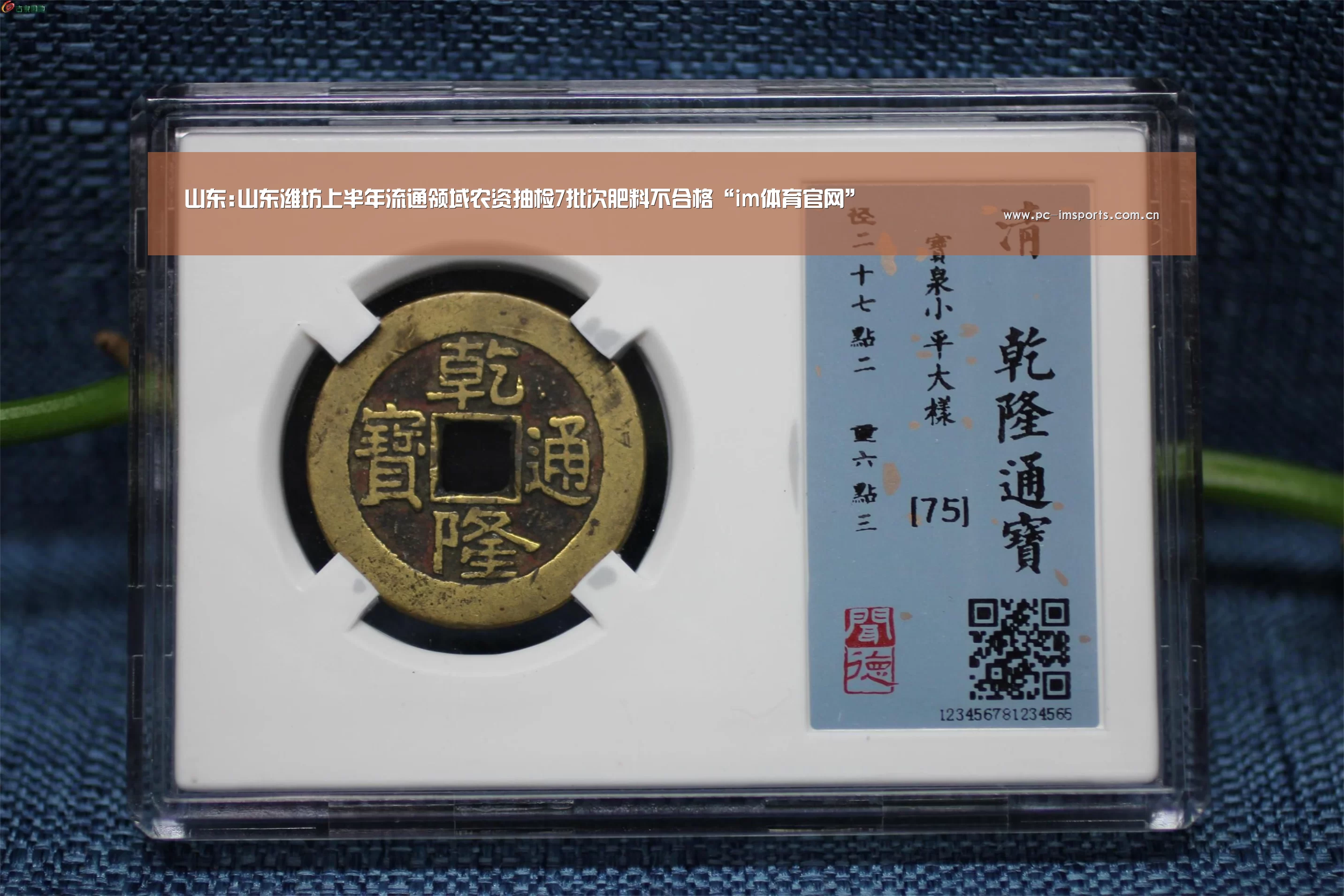 im体育下载