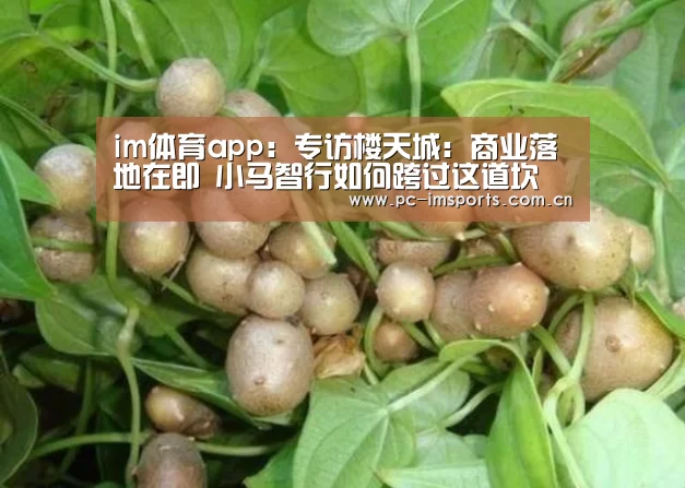 im体育app:专访楼天城:商业落地在即 小马智行如何跨过这道坎(图2) im体育下载