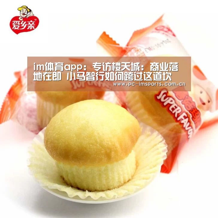 im体育app:专访楼天城:商业落地在即 小马智行如何跨过这道坎(图4) im体育