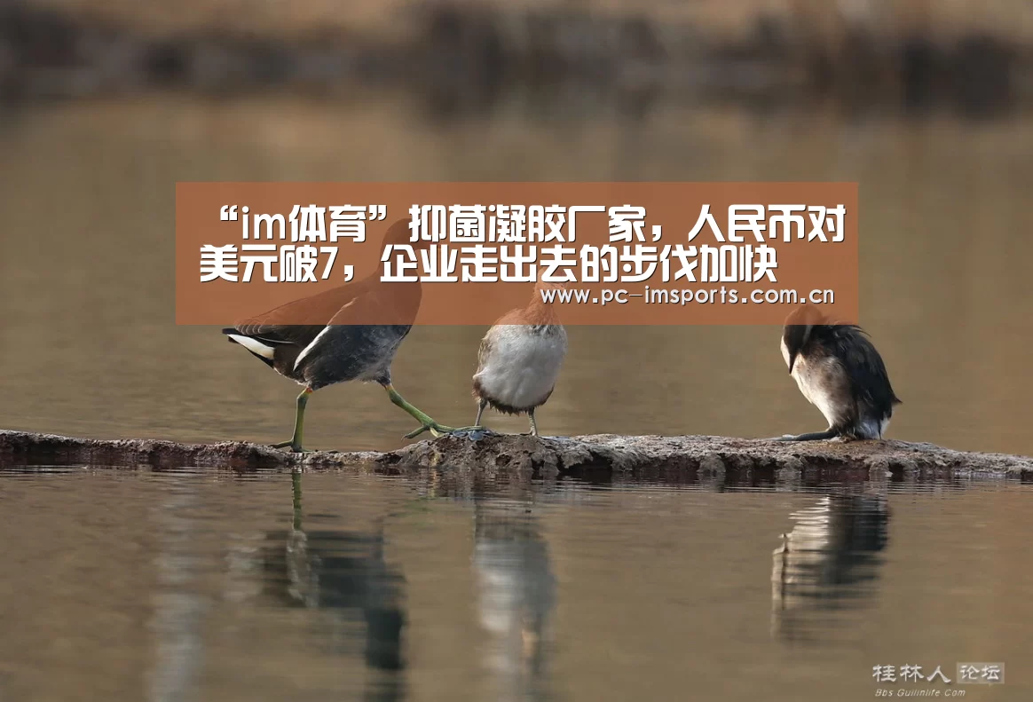 “im体育”抑菌凝胶厂家,人民币对美元破7,企业走出去的步伐加快(图2) im体育官网