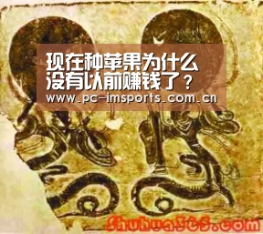 现在种苹果为什么没有以前赚钱了?听听他们怎么说【im体育app】(图1) im体育app